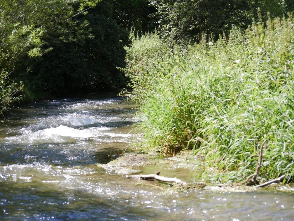 Ferienhaus Eichhoelzle Münsingen Εξωτερικό φωτογραφία